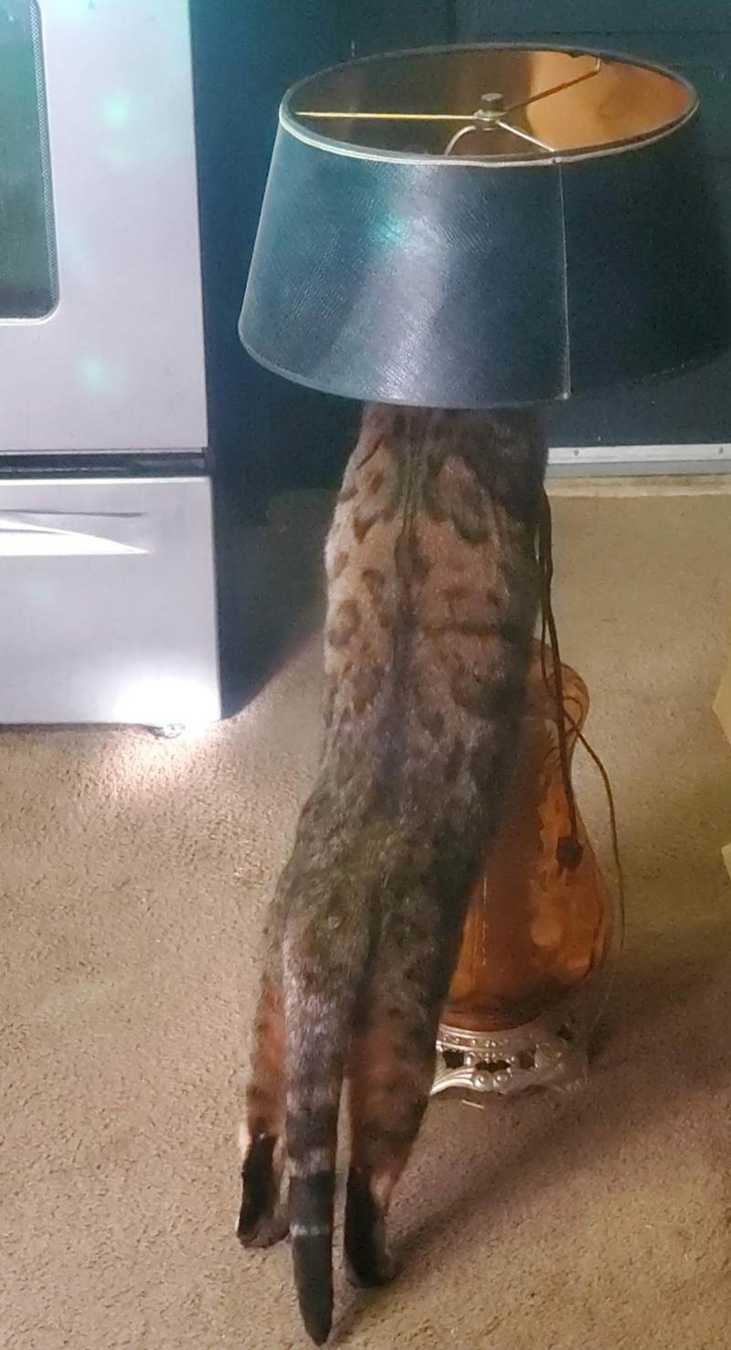 How do you turn this thing on?