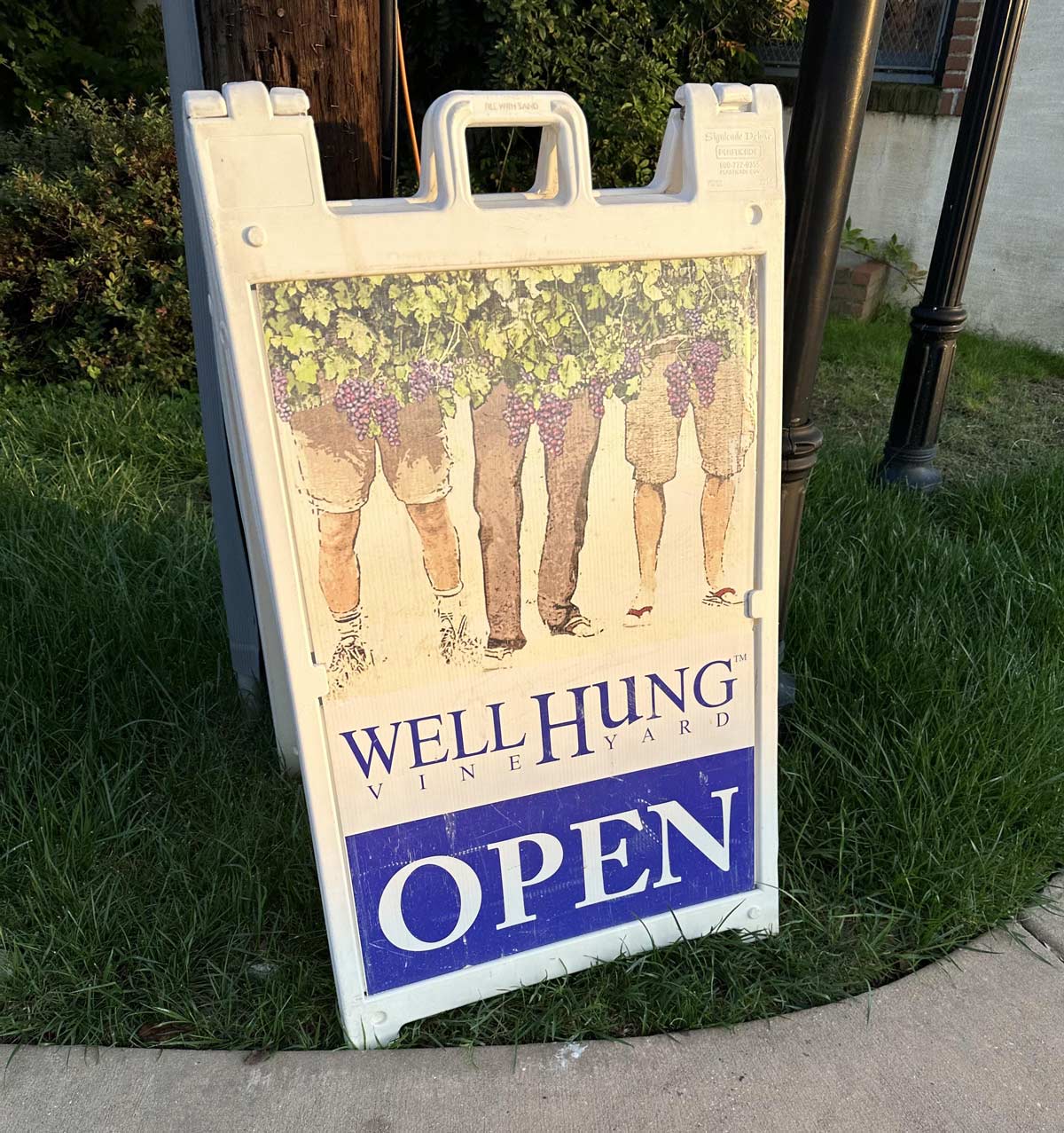 When three 14 year olds start a vineyard