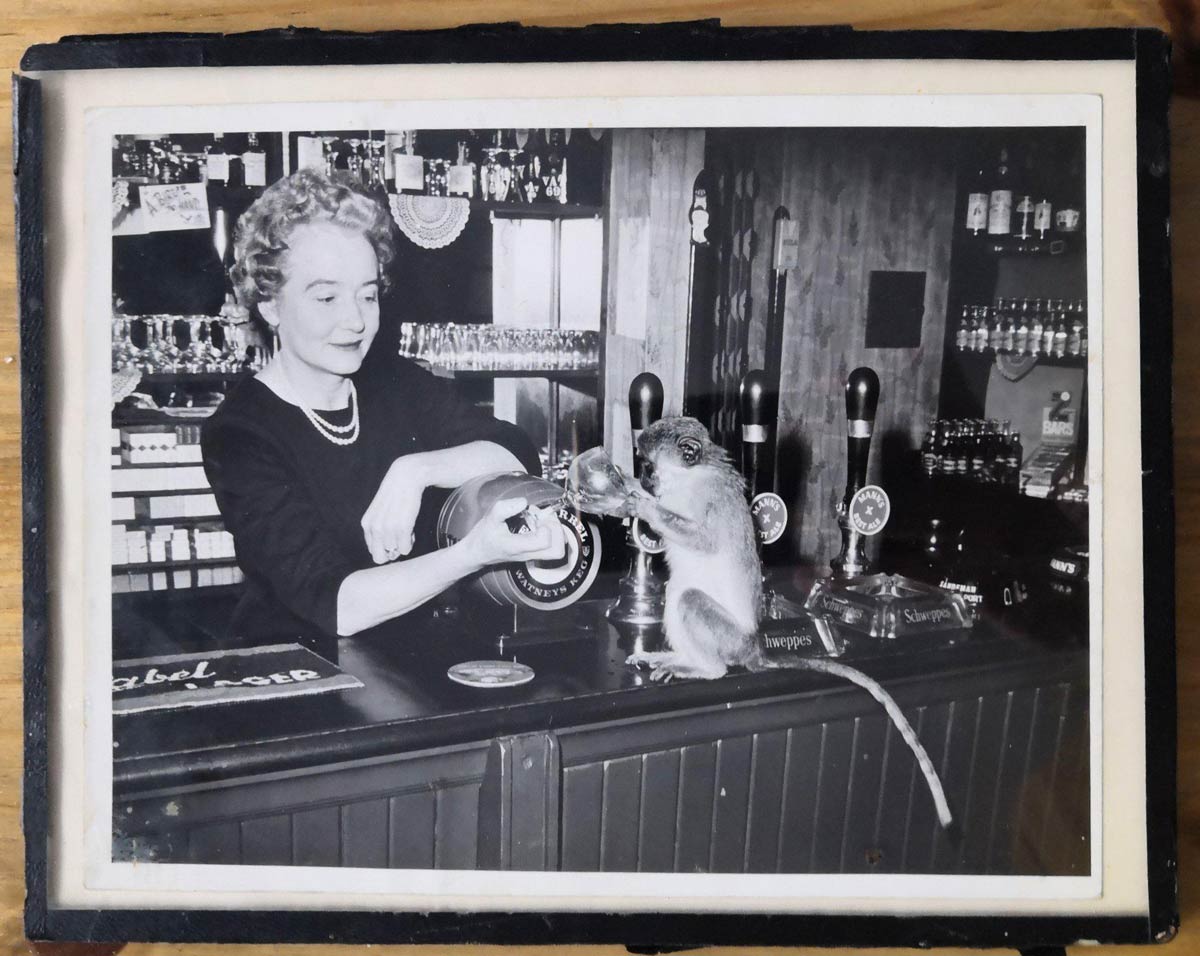 My Great Aunt had a Pub Monkey