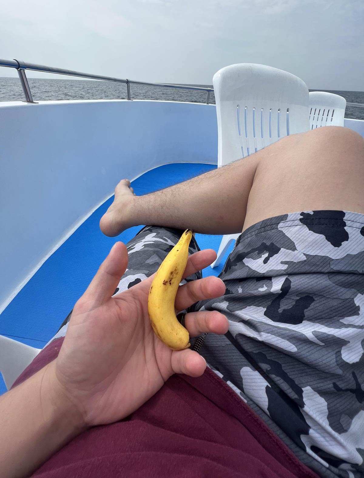 Above average size banana