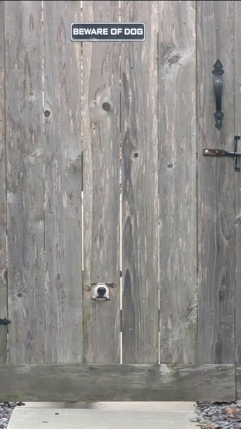 Beware of dog