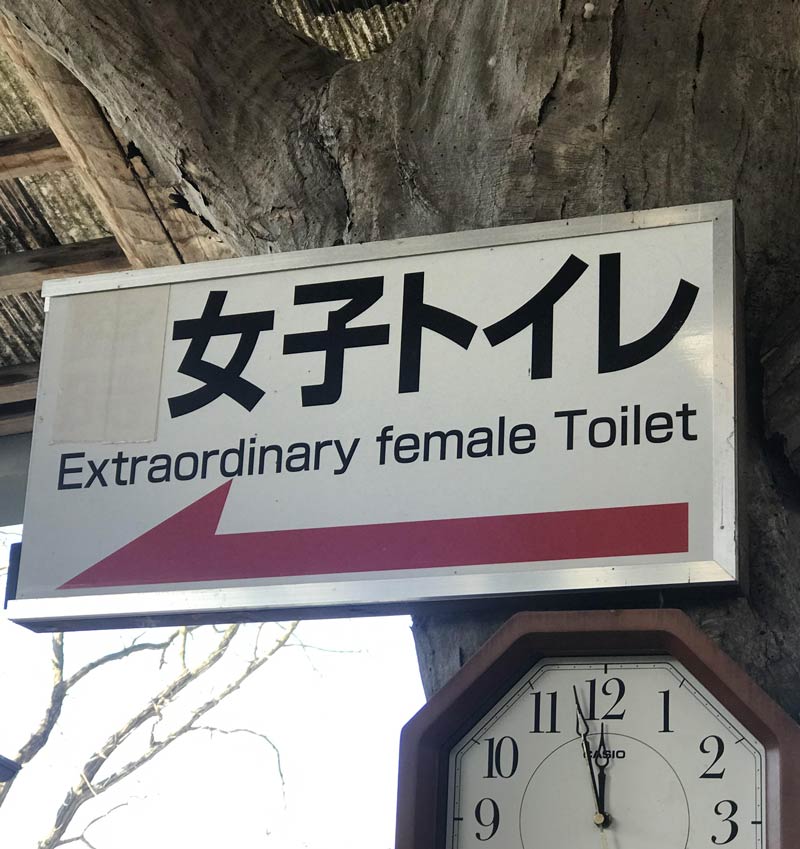 Extraordinary female toilet
