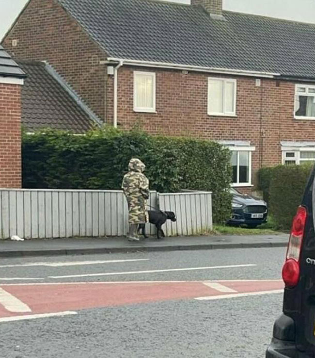 I hate it when owners let their dogs wander around outside on their own