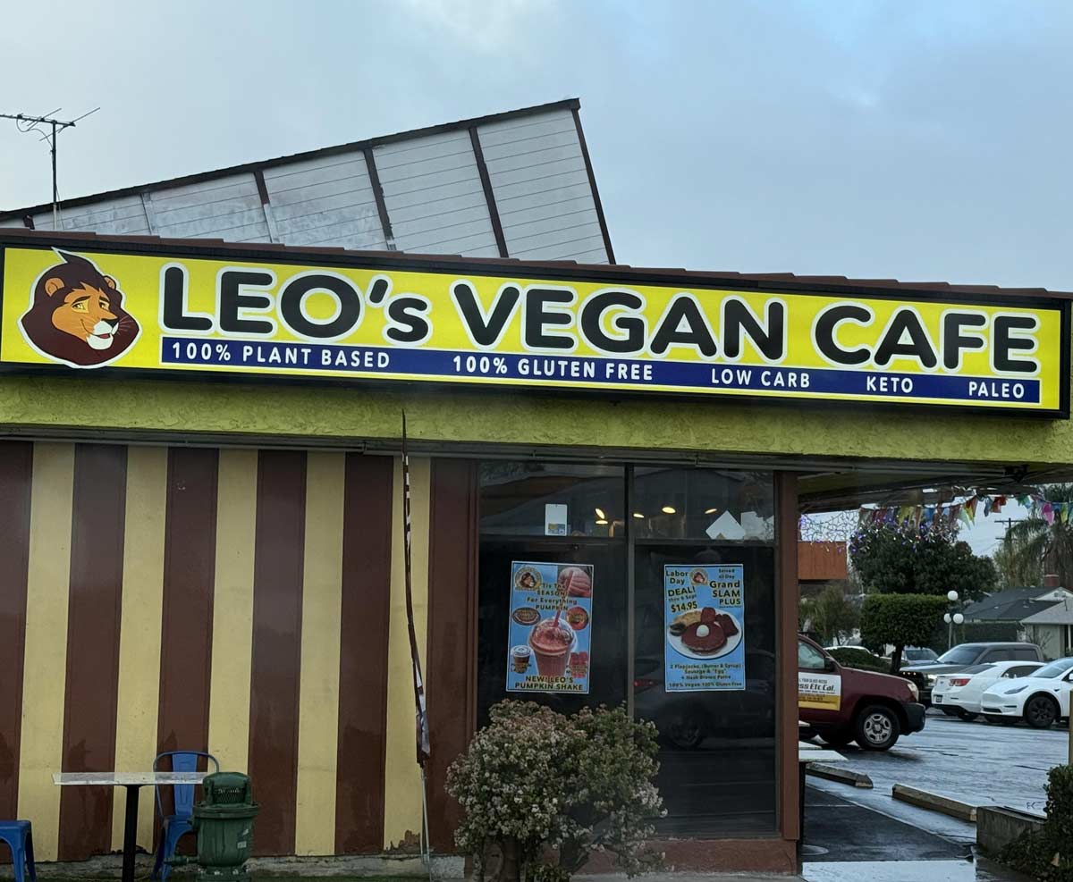 A carnivorous animal on a vegan cafe sign