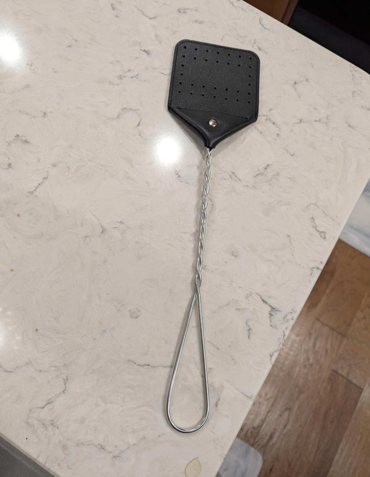I bought this leather flyswatter last summer, and it works great. But I just realized, am I giving guests the wrong impression with it hanging in my house