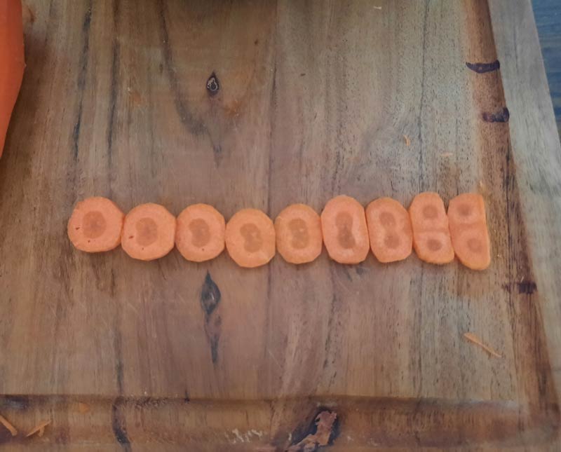 Accidental Mitosis My Carrot Explains Cell Division