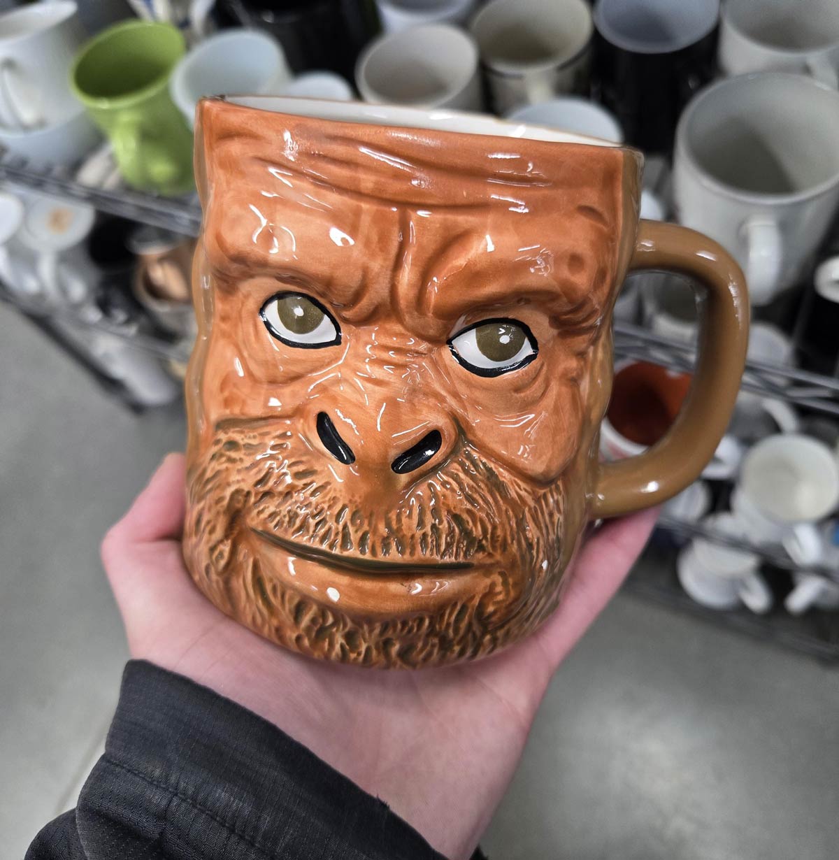 Goodwill find