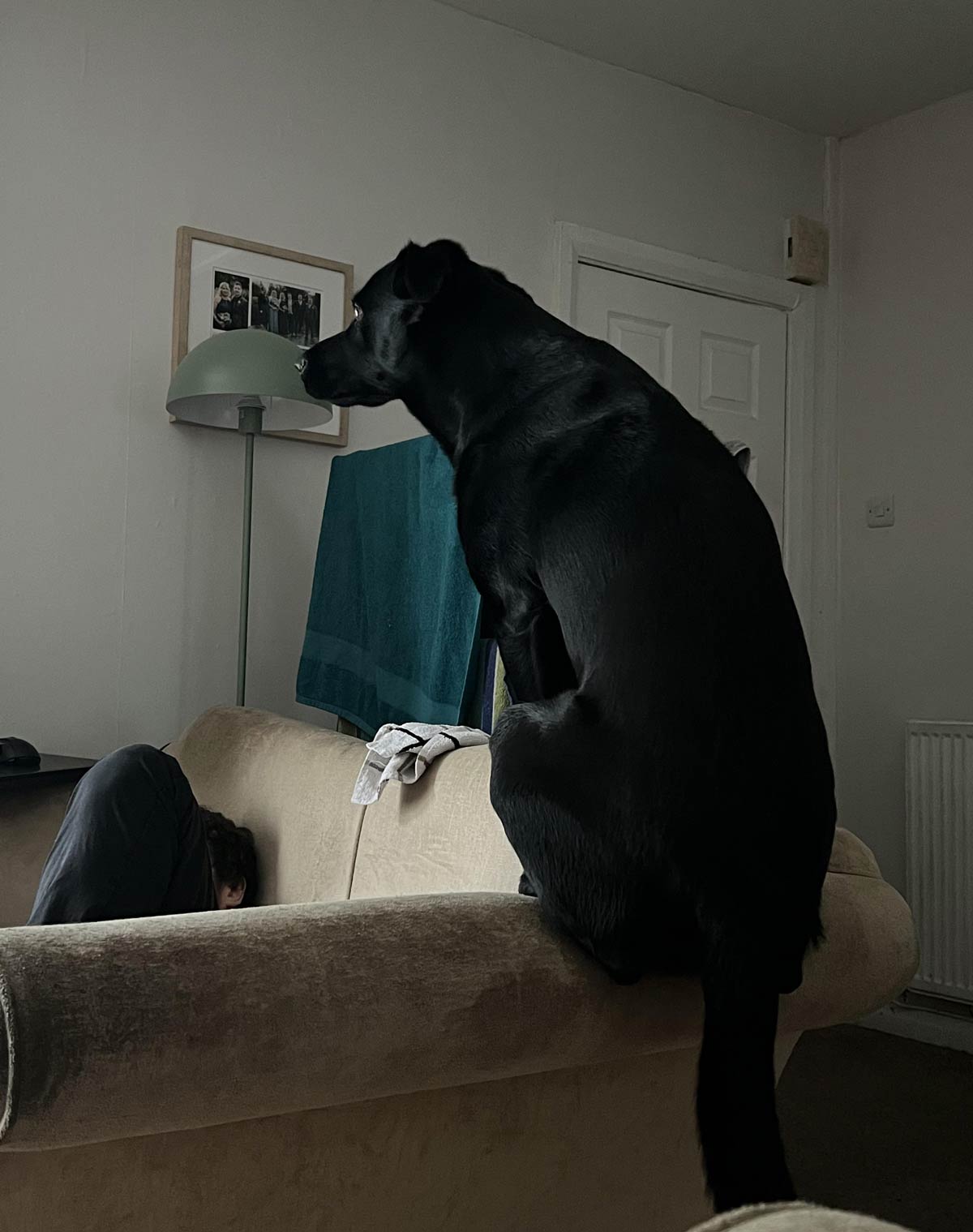 ‘I’m whatever Gotham needs me to be’