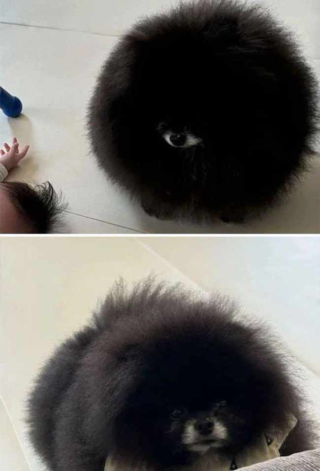 The eye!