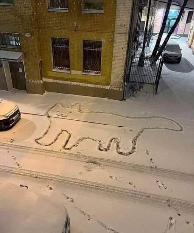 Art