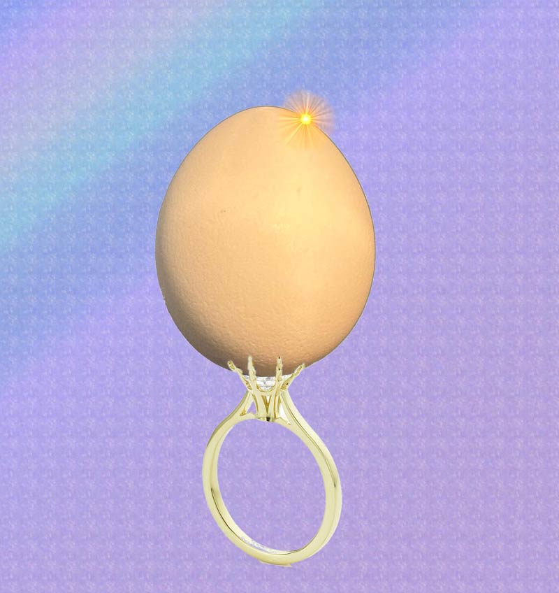 I want to propose to my GF and saved three months salary for the eggagement ring. I hope she likes it