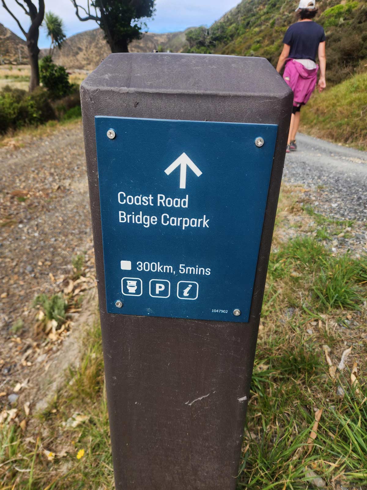 New Zealand has some of the fastest walkers in the world