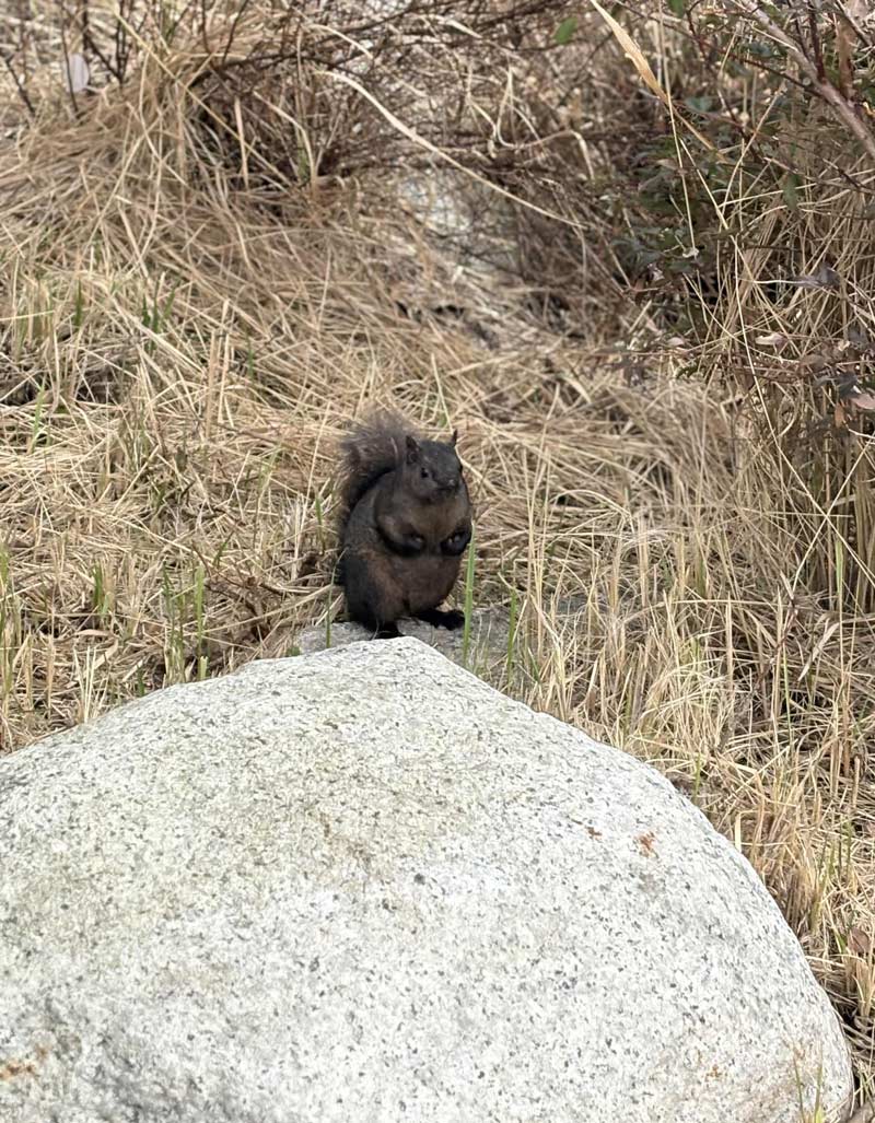 He looks like he’s about to start a fight