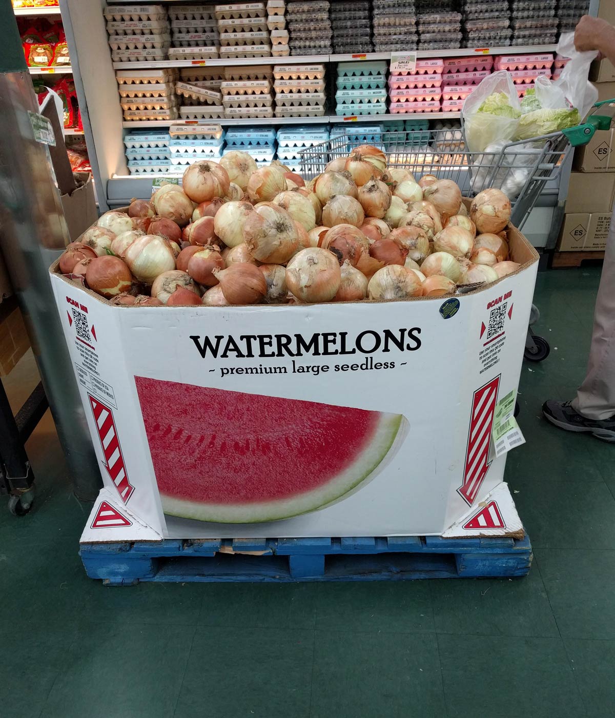 I went to the local Asian grocery. I didn't realize that Asian watermelons were so different