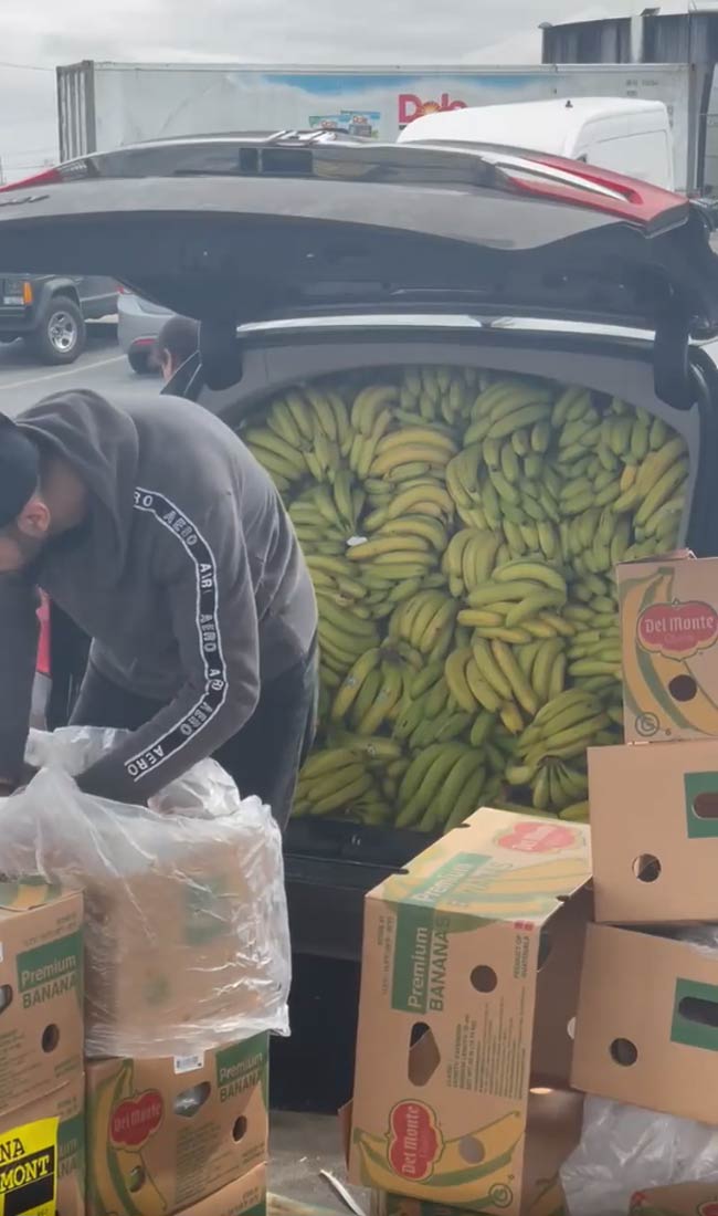 Bananas!