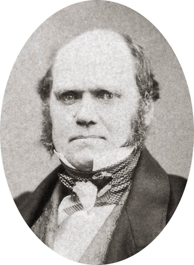 Charles Darwin, 1855. He wrote to a friend about this picture If I really have as bad an expression [as this], how I can have one single friend is surprising