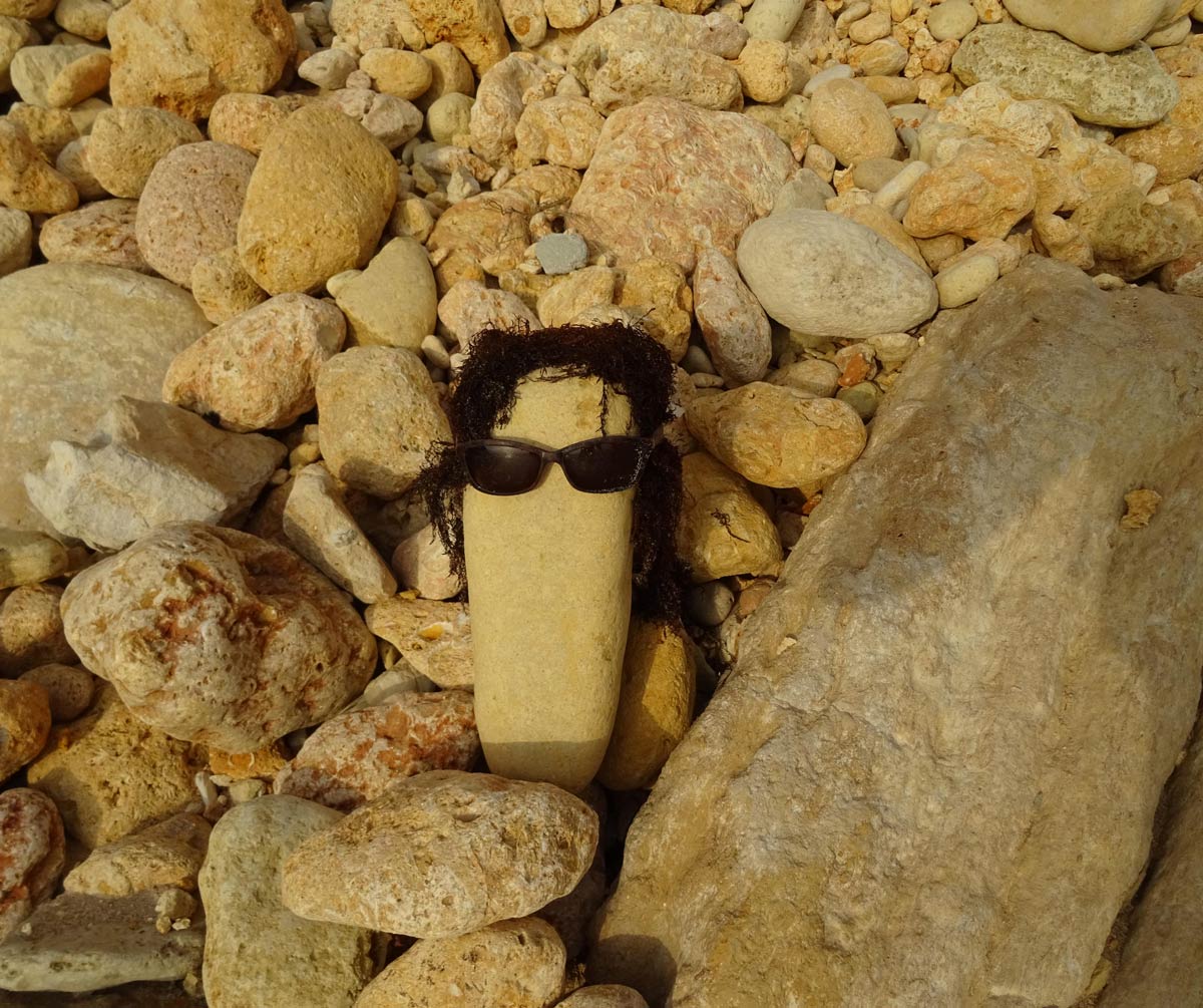 Found this at the beach