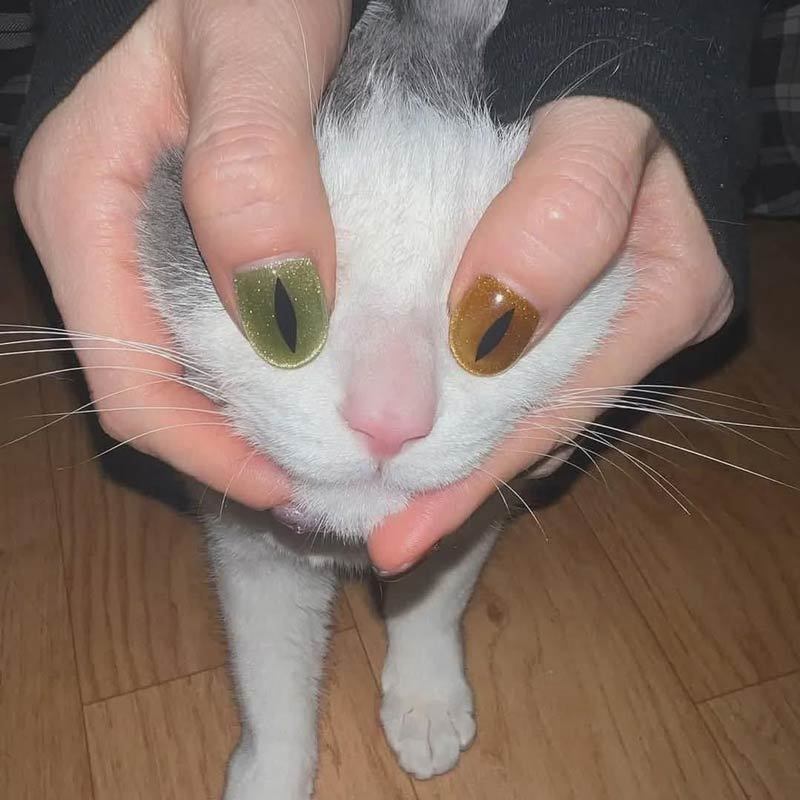 Nailed the cat look