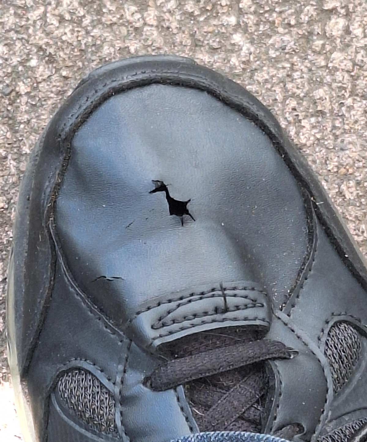 My shoe has a bipedal giraffe hole in the toe