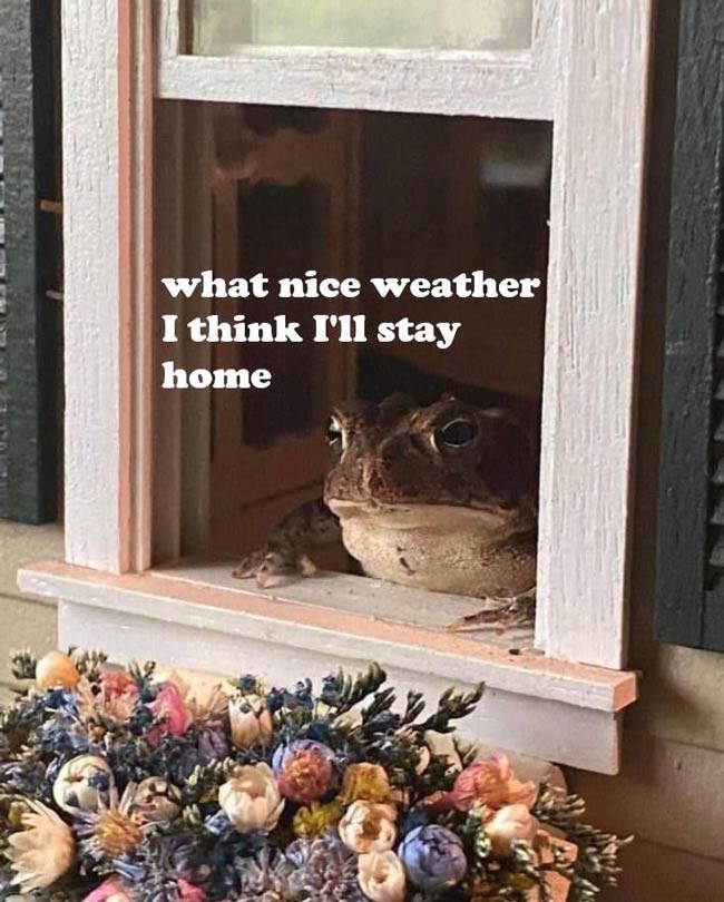Every day