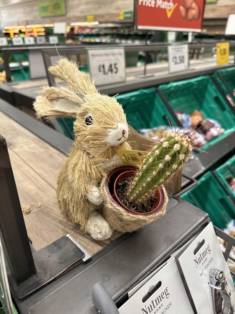 Morrisons are seriously selling these. It’s not just me, right