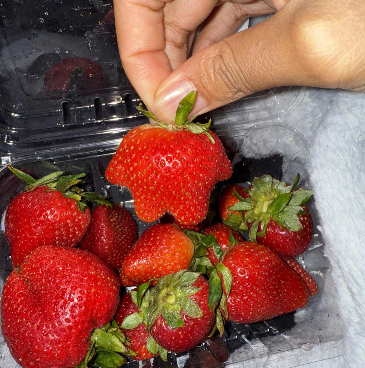 This strawberry looks like a baby kool-aid man