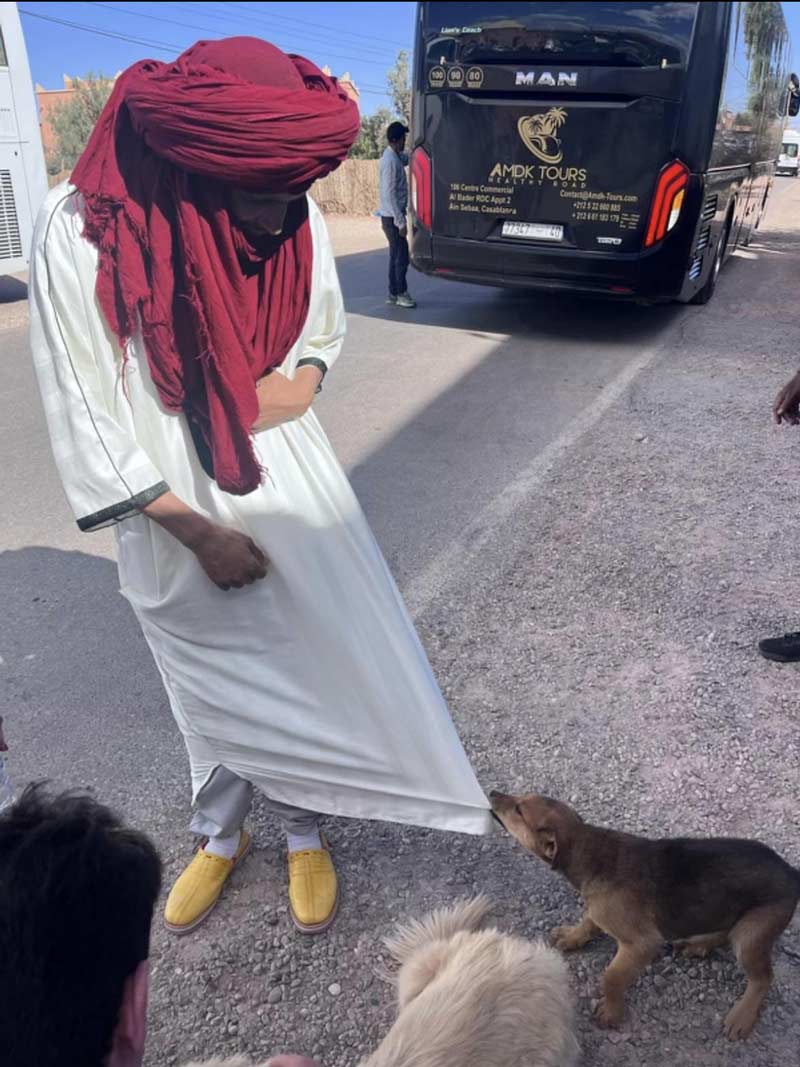 My sister is visiting Morocco. She caught this little puppy chewing on a persons outfit