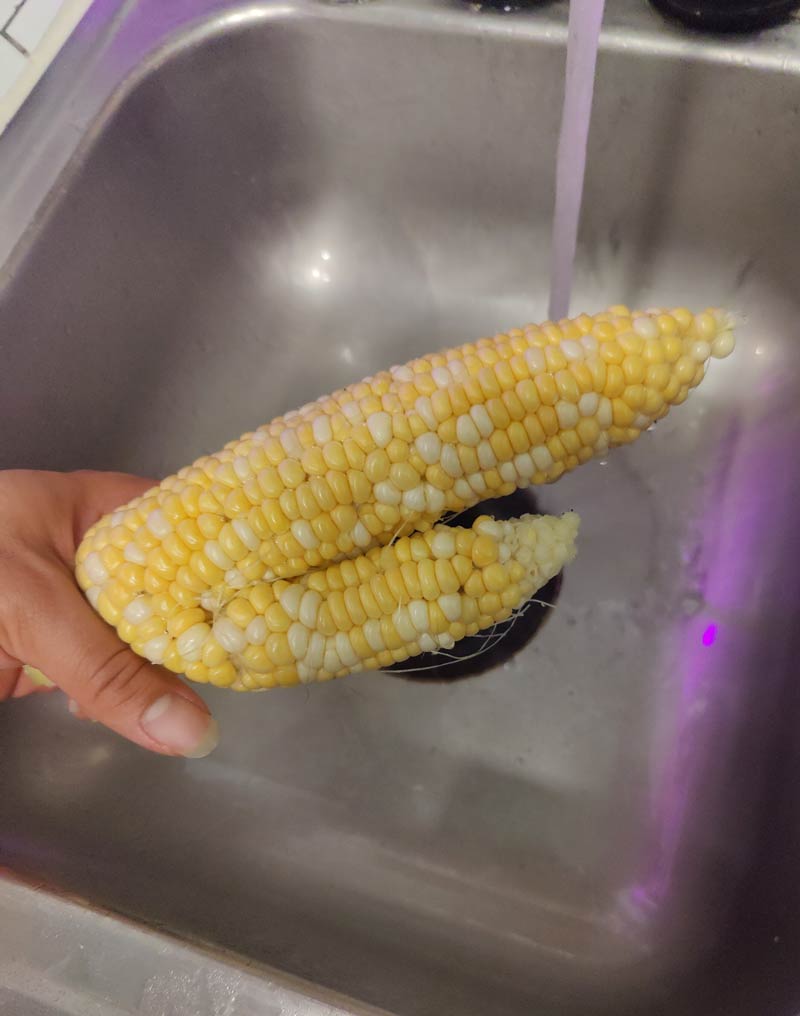 About to put Adam and Eve out of business with this corn