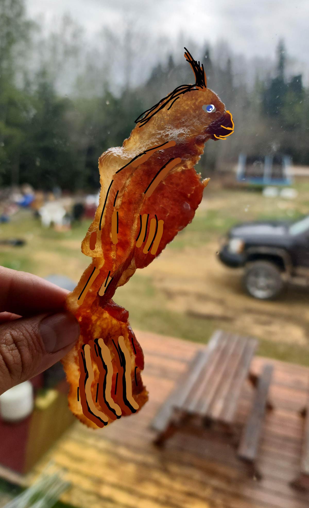 Bacon Phoenix