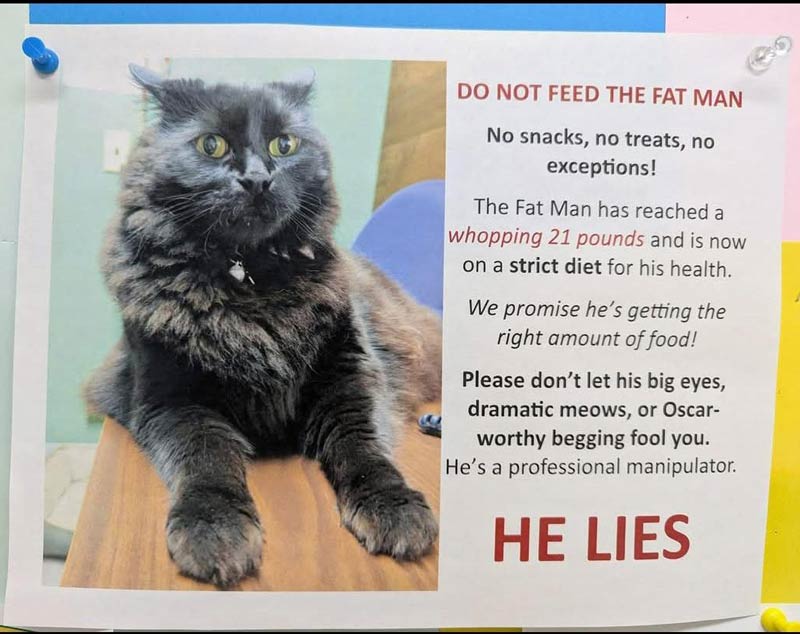 Do Not Feed the Fat Man