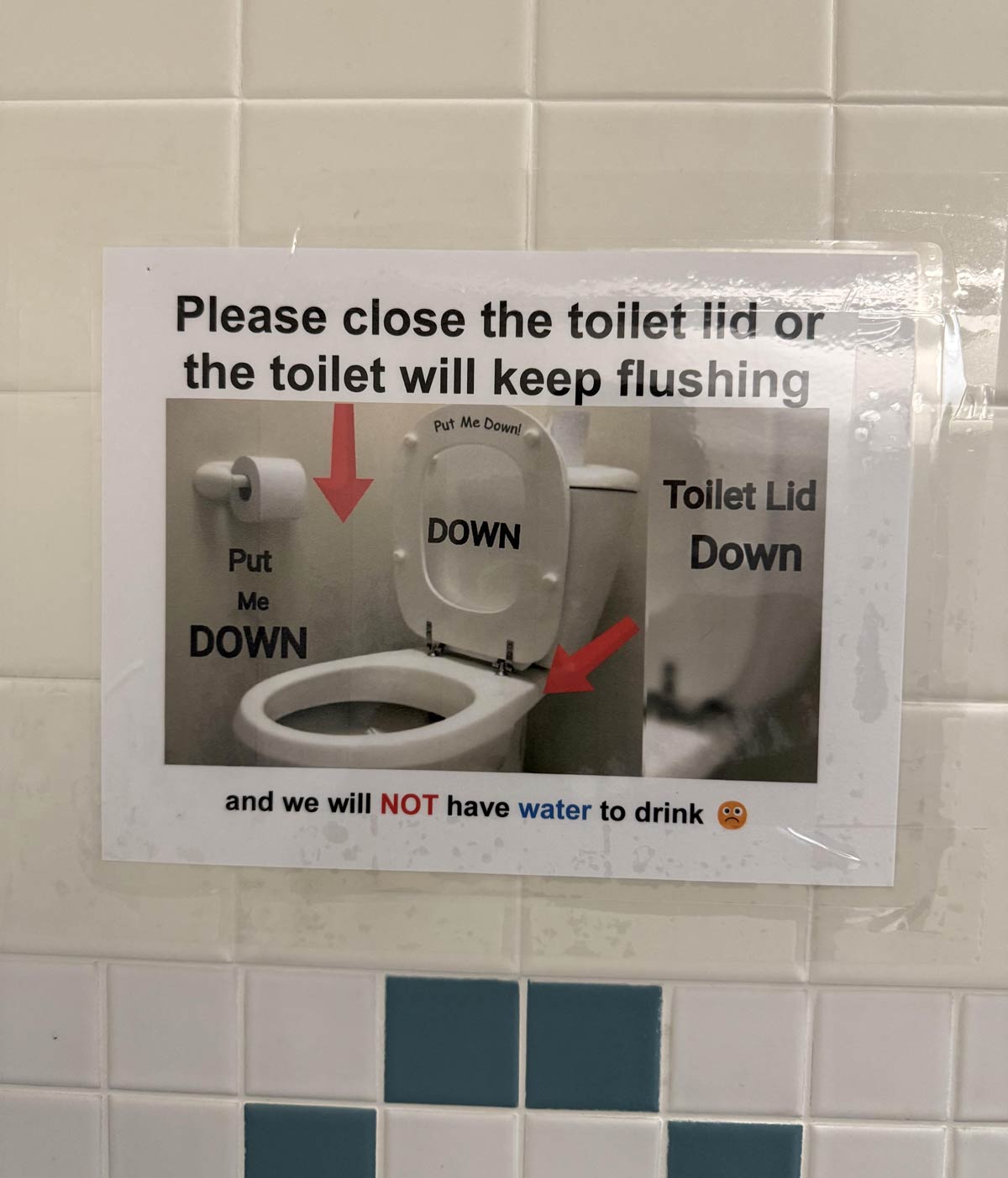 Down, I tell you. Down!