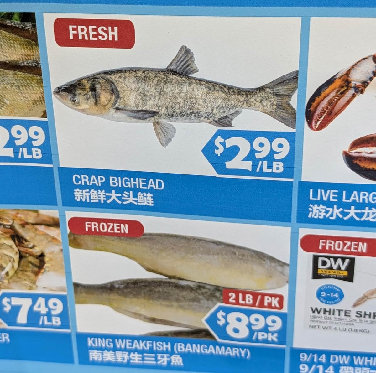 These fish names