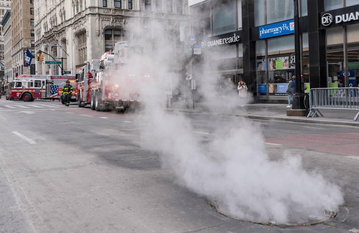 The Teenage Mutant Ninja Turtles have elected a new Pope