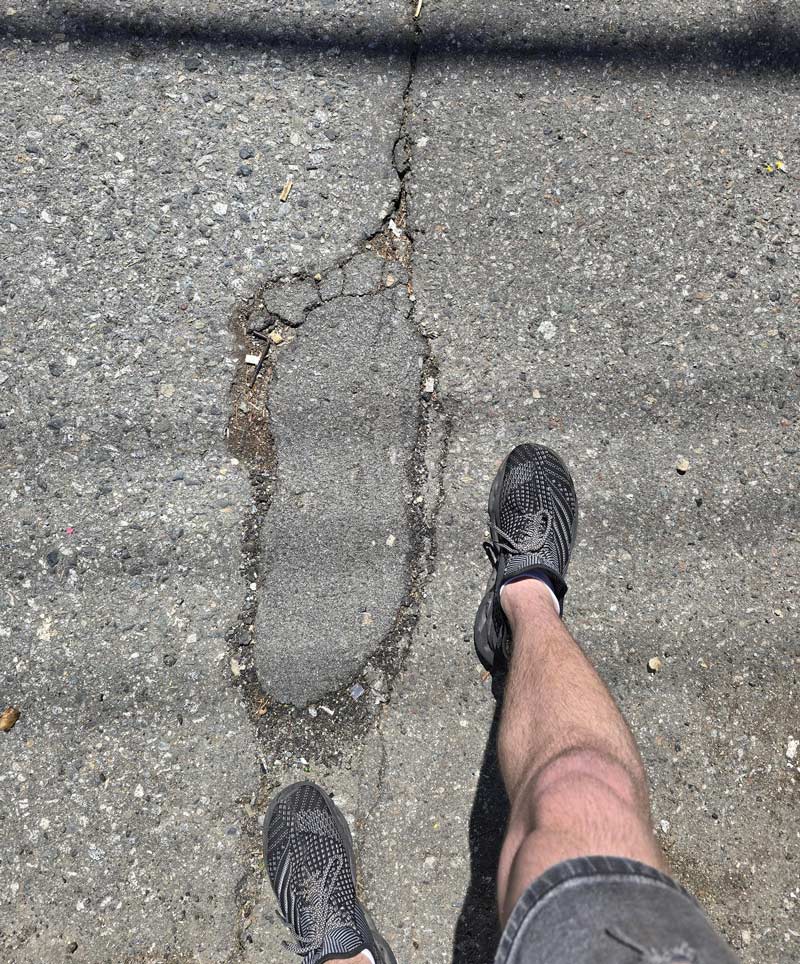 Proof of Bigfoot