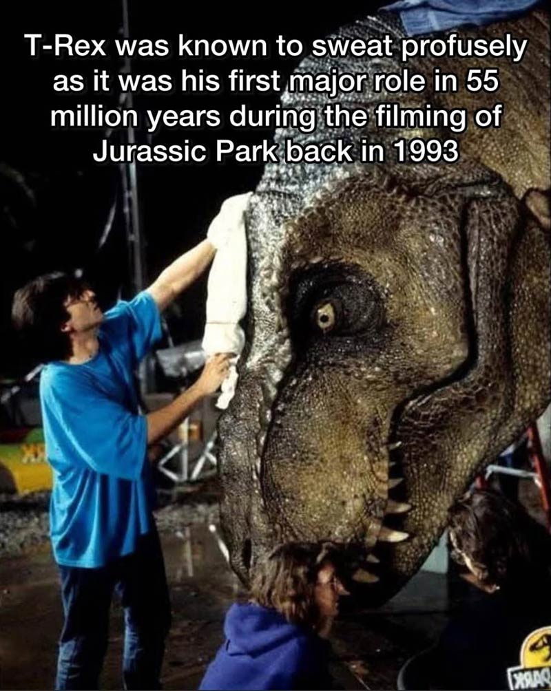 T-Rex was a natural
