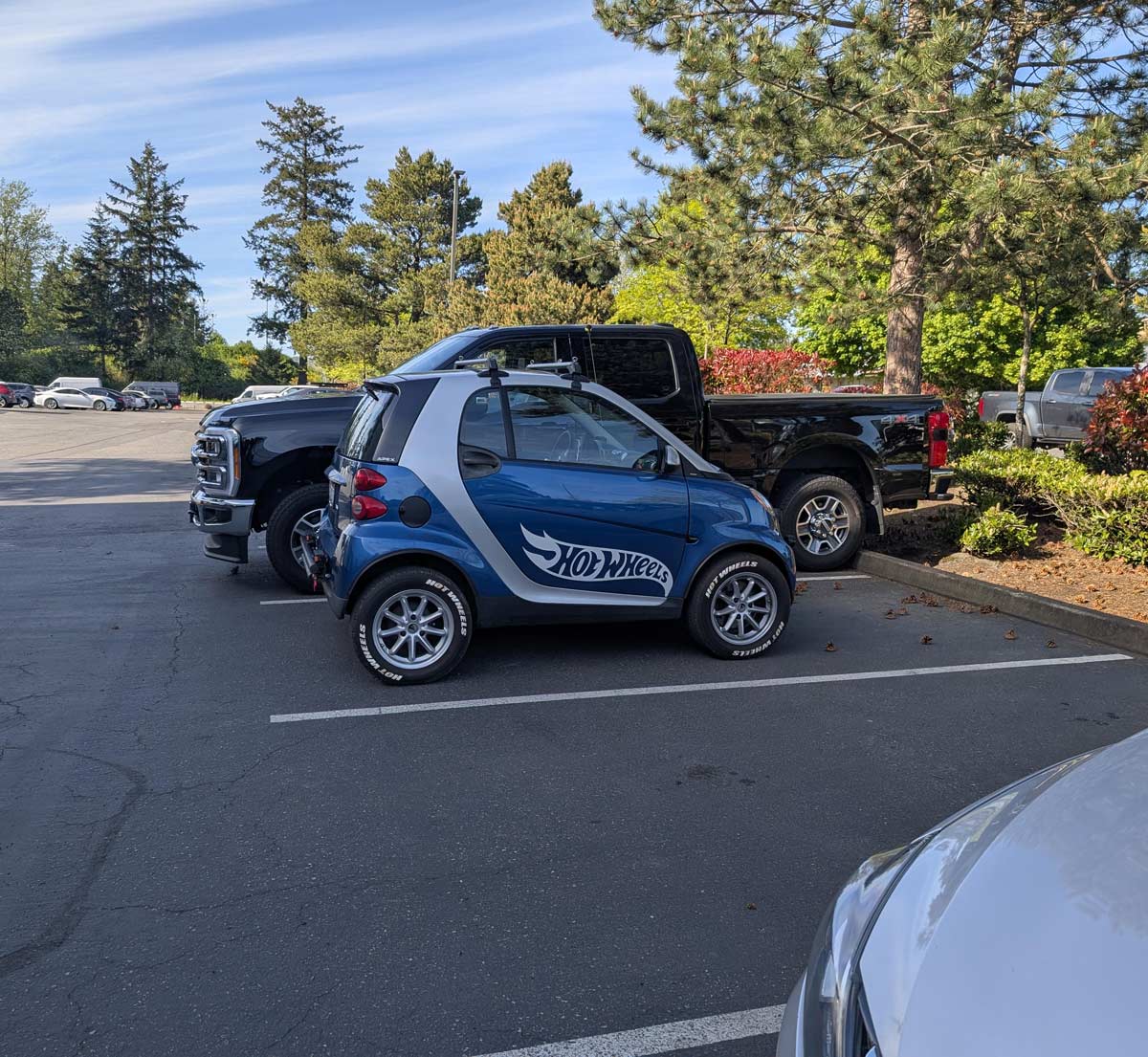 The size difference between my coworkers' vehicles