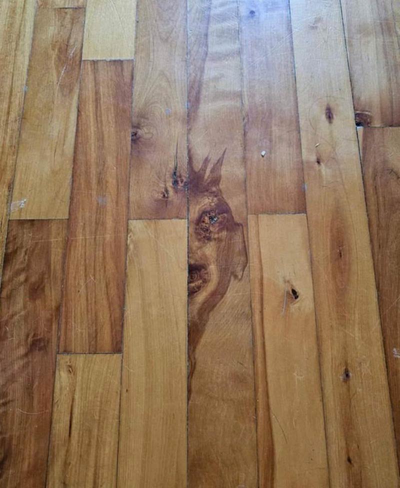 Time to leave this Airbnb