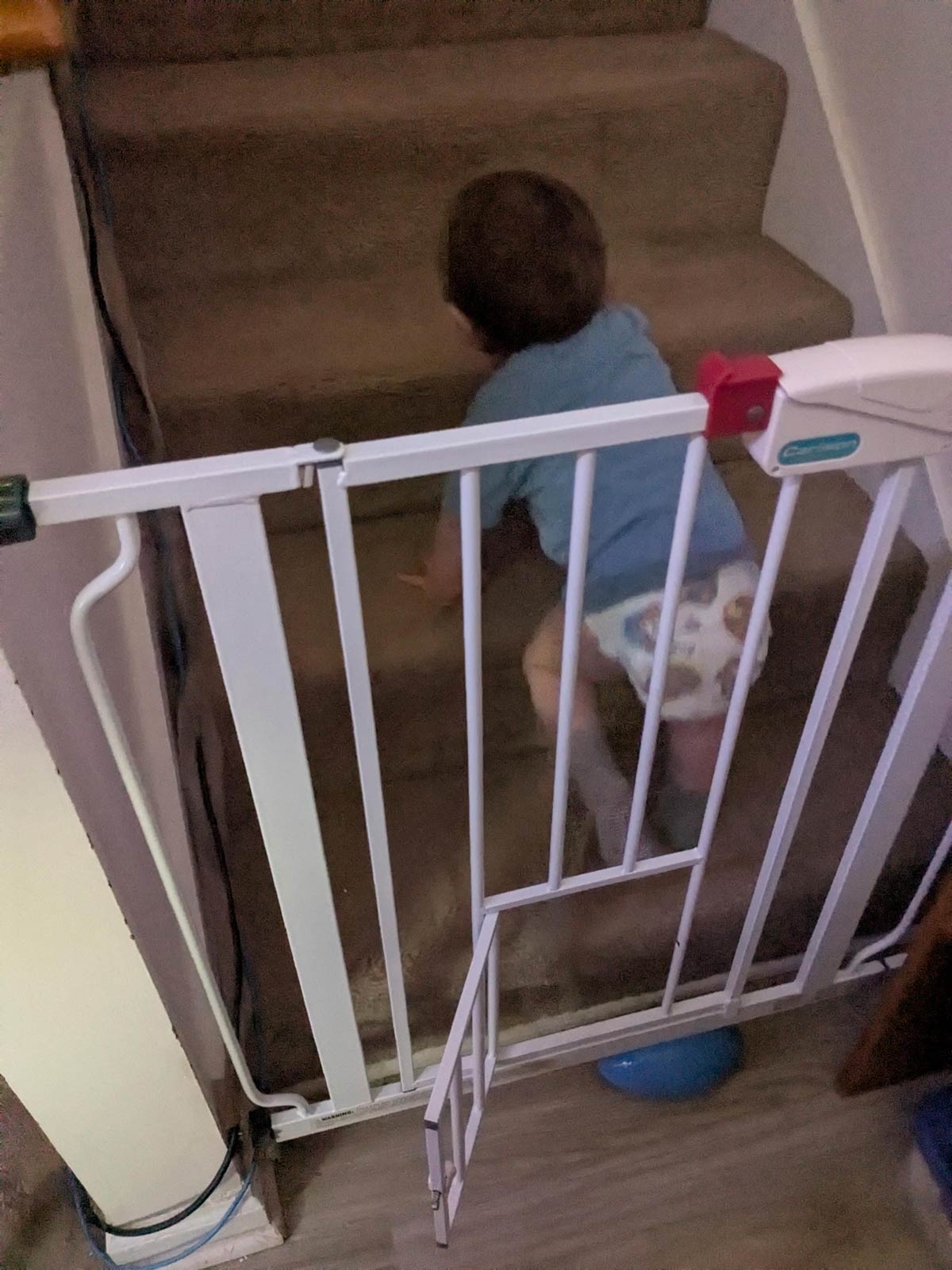 They put a baby door in my pet gate