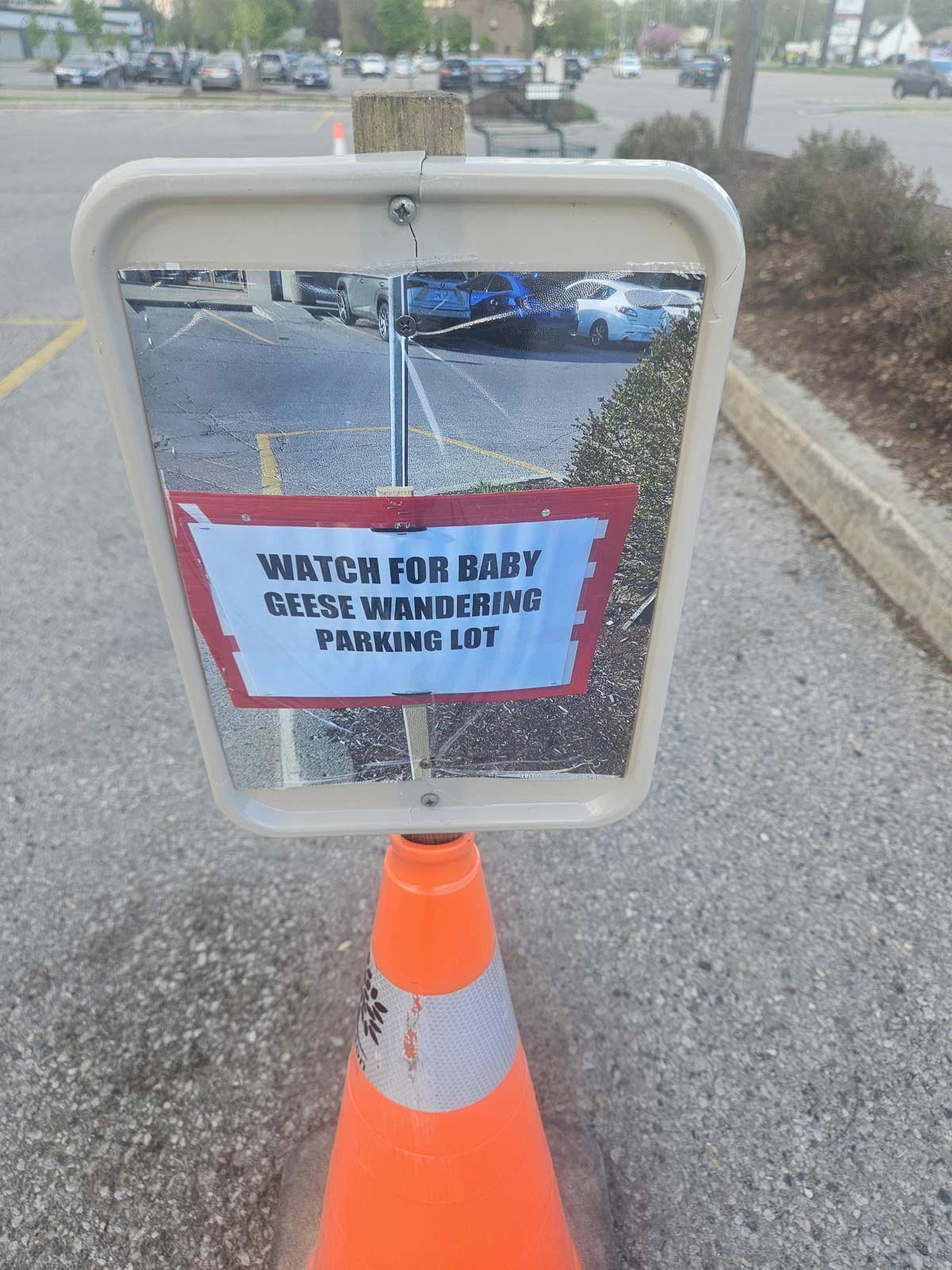 Printed photograph of a sign in the car park