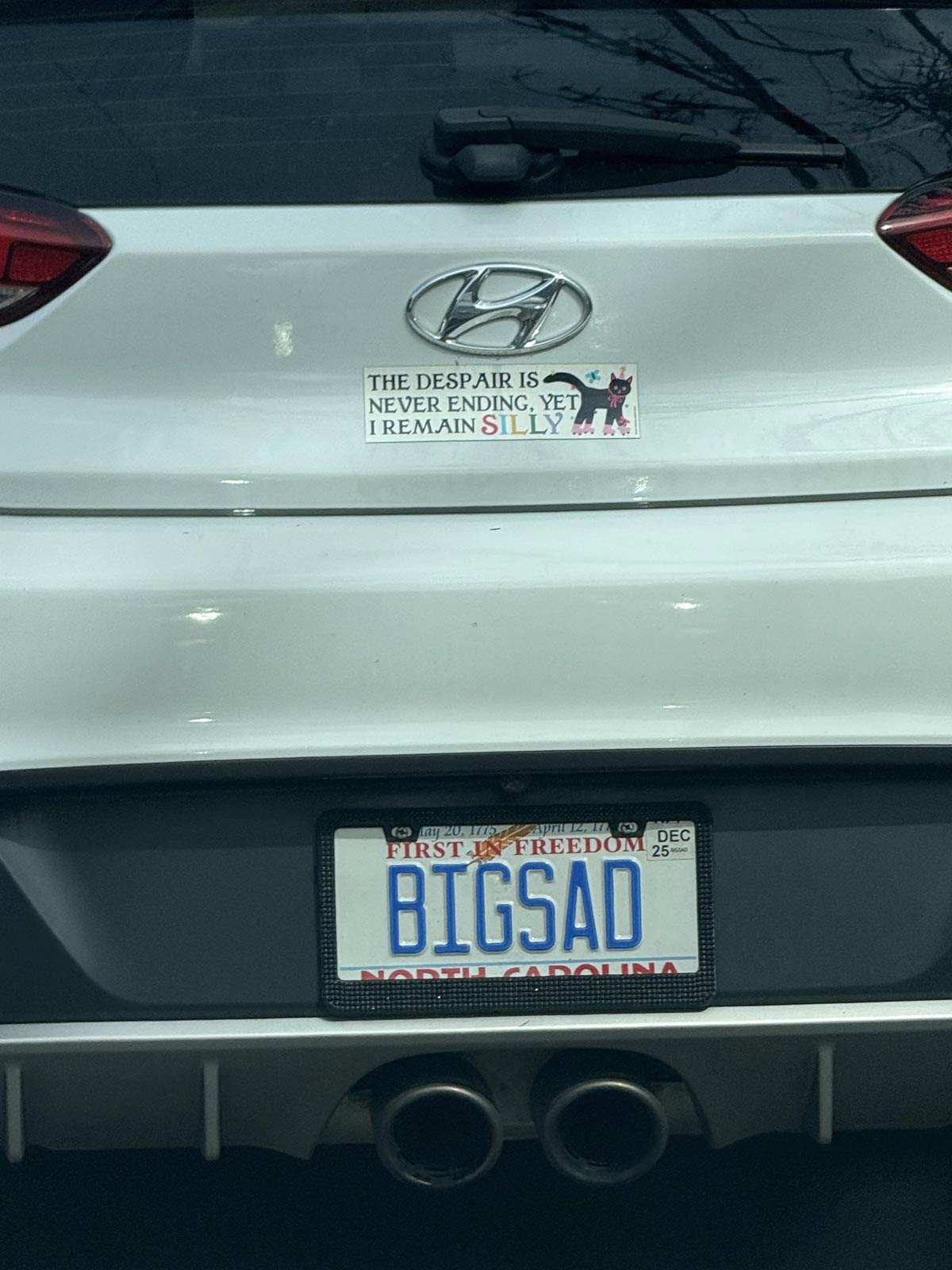 This sticker and license plate combo I saw today