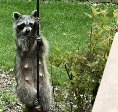Funny Pictures – May 19, 2025