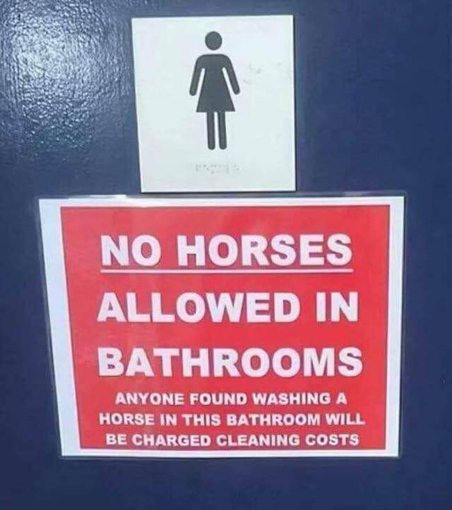 Who is washing their horses in the public bathroom?