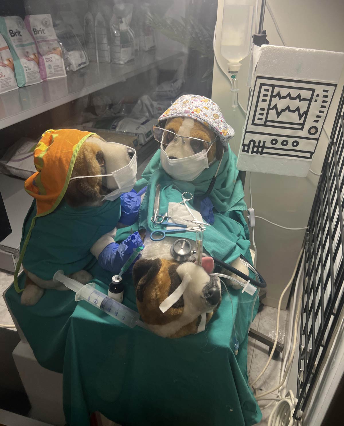 A vets window I passed today