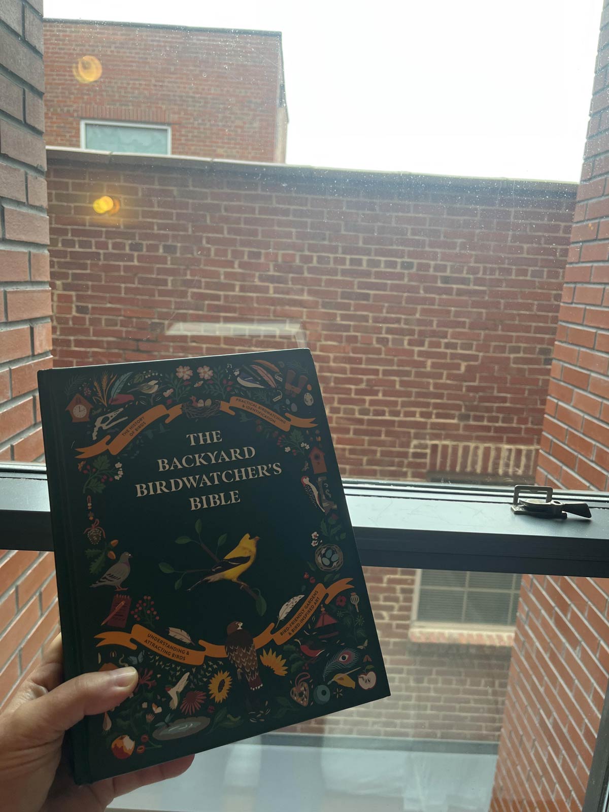 The hotel I’m staying at in Alexandria provided this fun book to use with my view