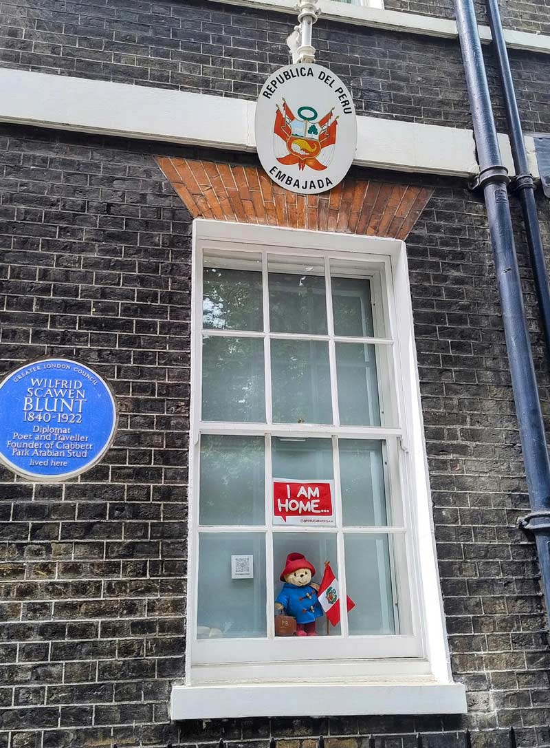 Paddington in the Peruvian Embassy window