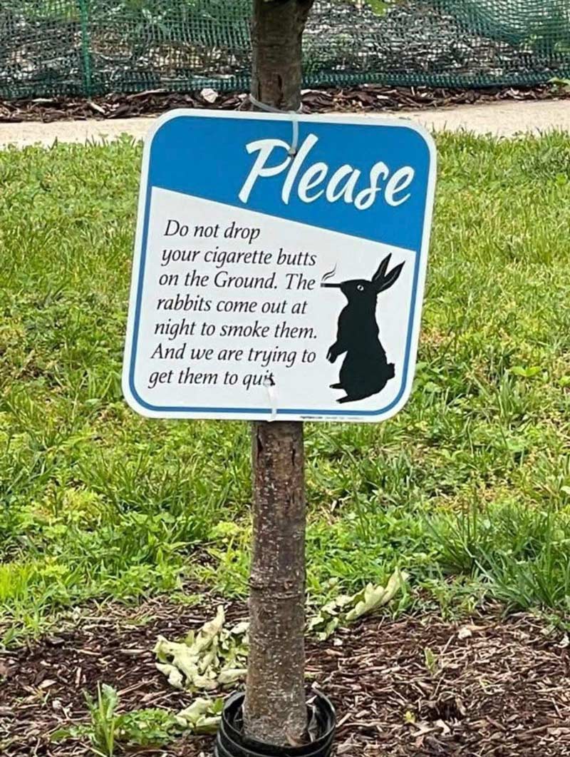 Please Don't