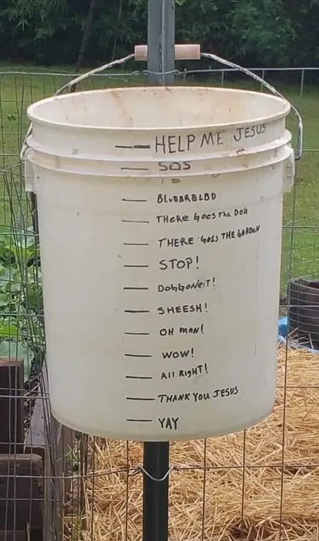 Meet the Texas rain gauge