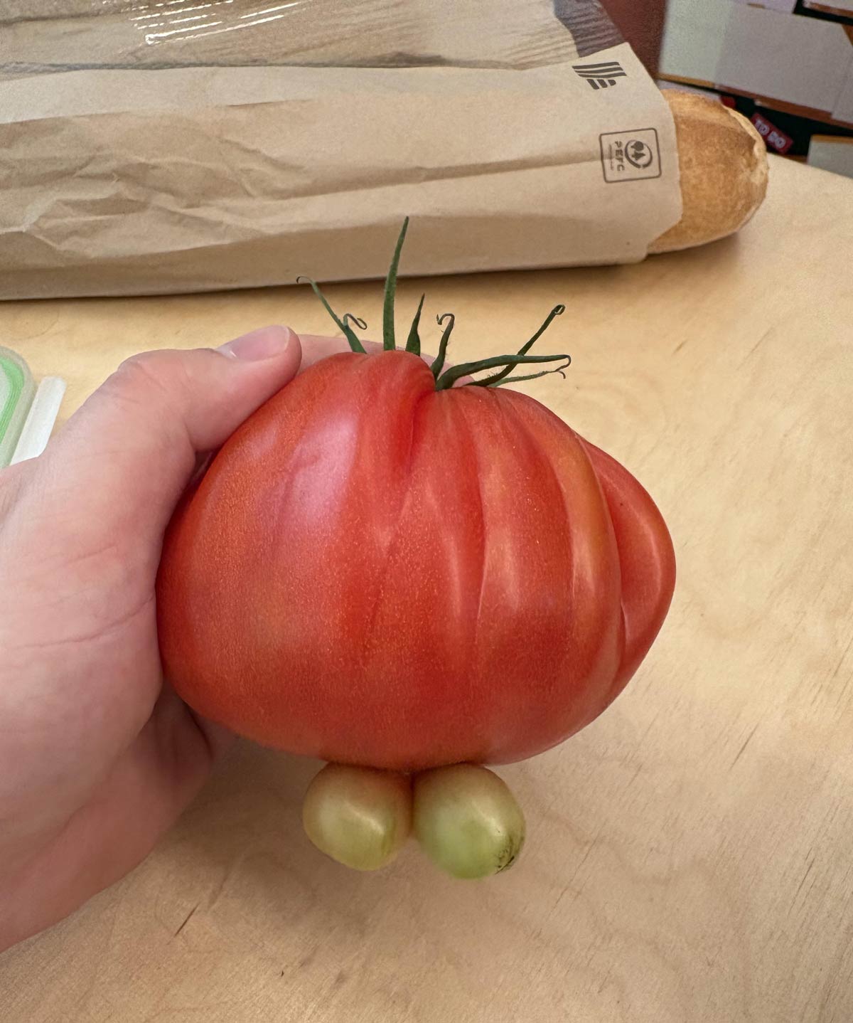 My tomato has balls