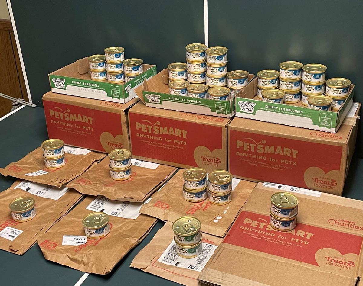 Two cases of cat food delivered, but in 10 shipments from 9 different cities and 3 states