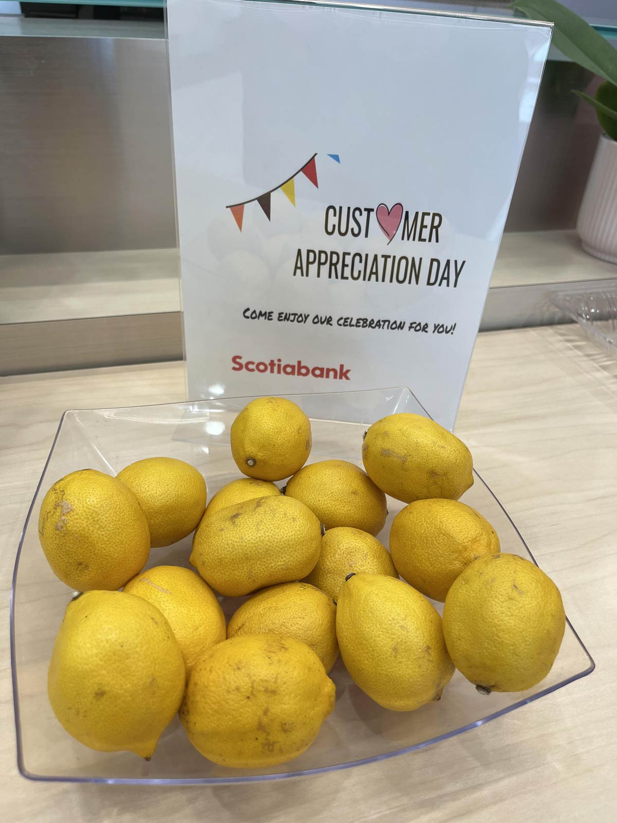 Bowl of overripe lemons offered by my bank branch, for customer appreciation day